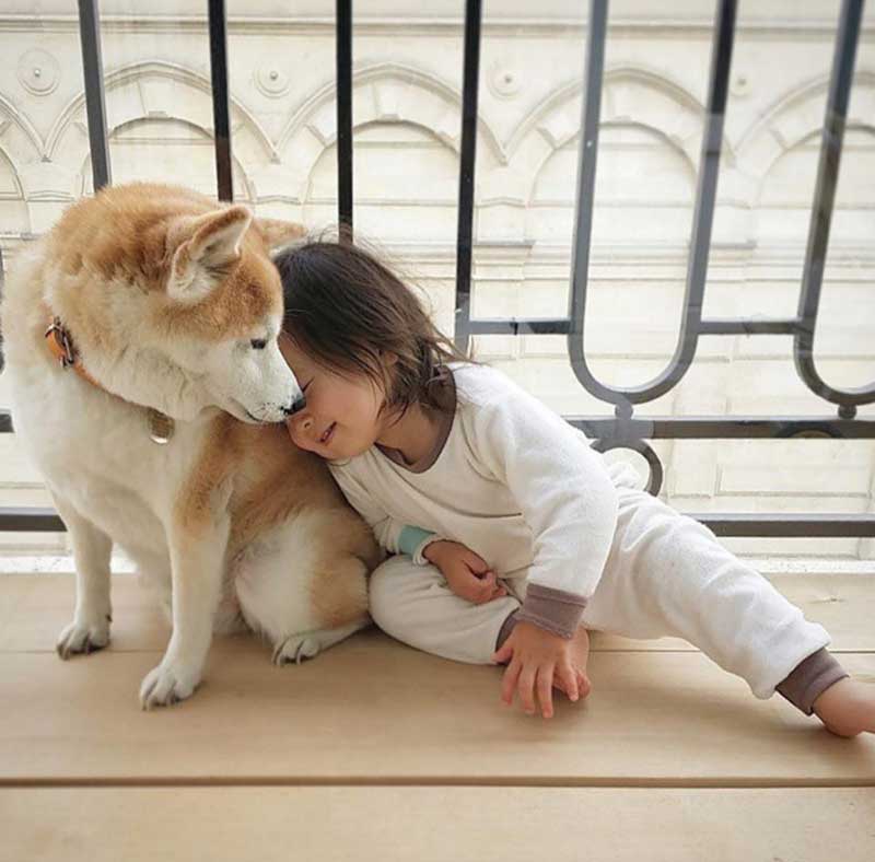 chó là bạn của con người